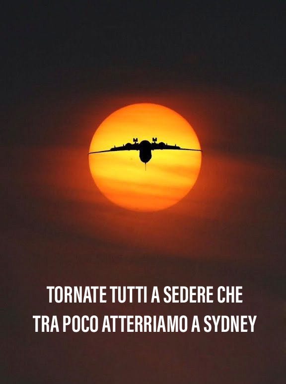 9AE95362-FC88-4221-8C9C-9E0CA3B2C3EB.jpeg