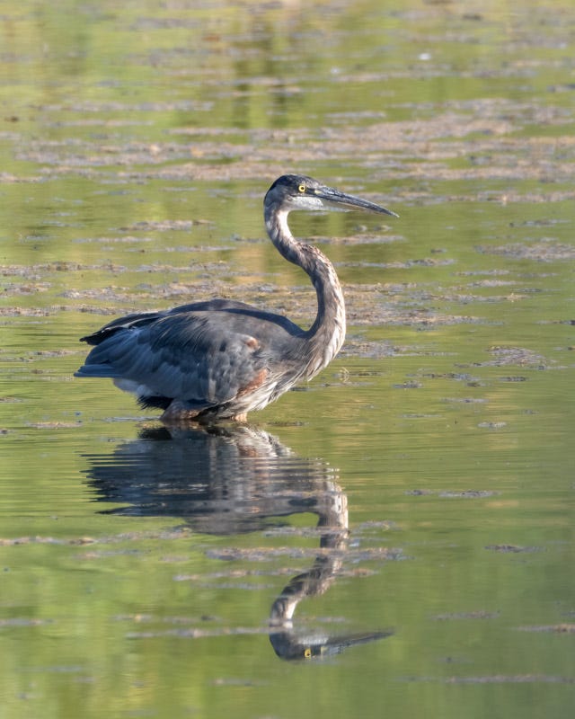 20250818-ElRio-85-Edit.jpg 20250818-ElRio-85-Edit.jpg