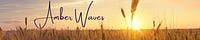 Amber Waves