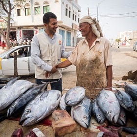 Houthis’ New Investment Law Aims to Tackle Economic Collapse