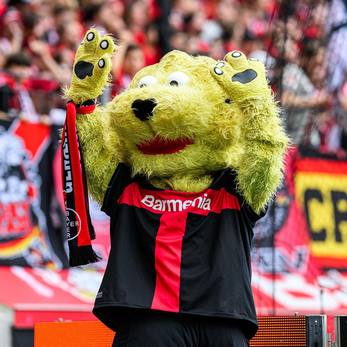 Hands up if you're German Champions! 🙌⚫️🔴 #B04FCA | #Bayer04 #Werkself