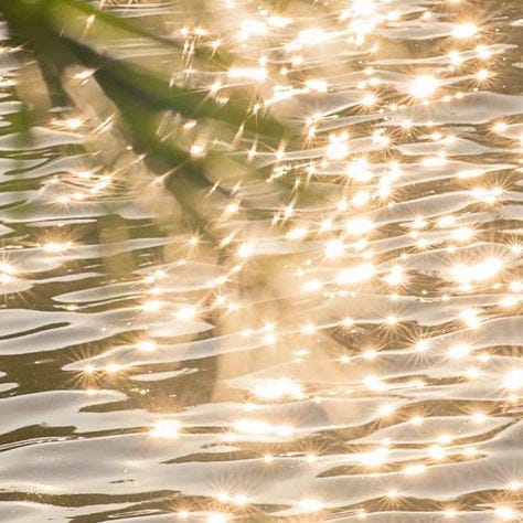 strawberry fieldnotes