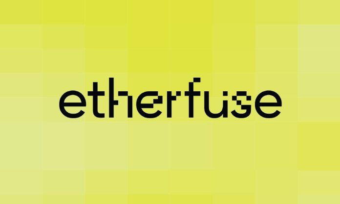 Etherfuse Raises $3M to Bring Emerging Market Debt On-chain – Blockchain  News, Opinion, TV and Jobs