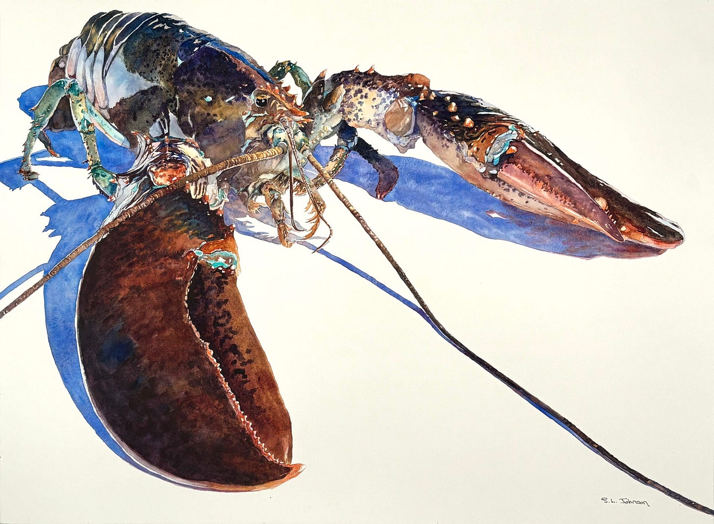 American Lobster, 7 by Susan L. Johnson
