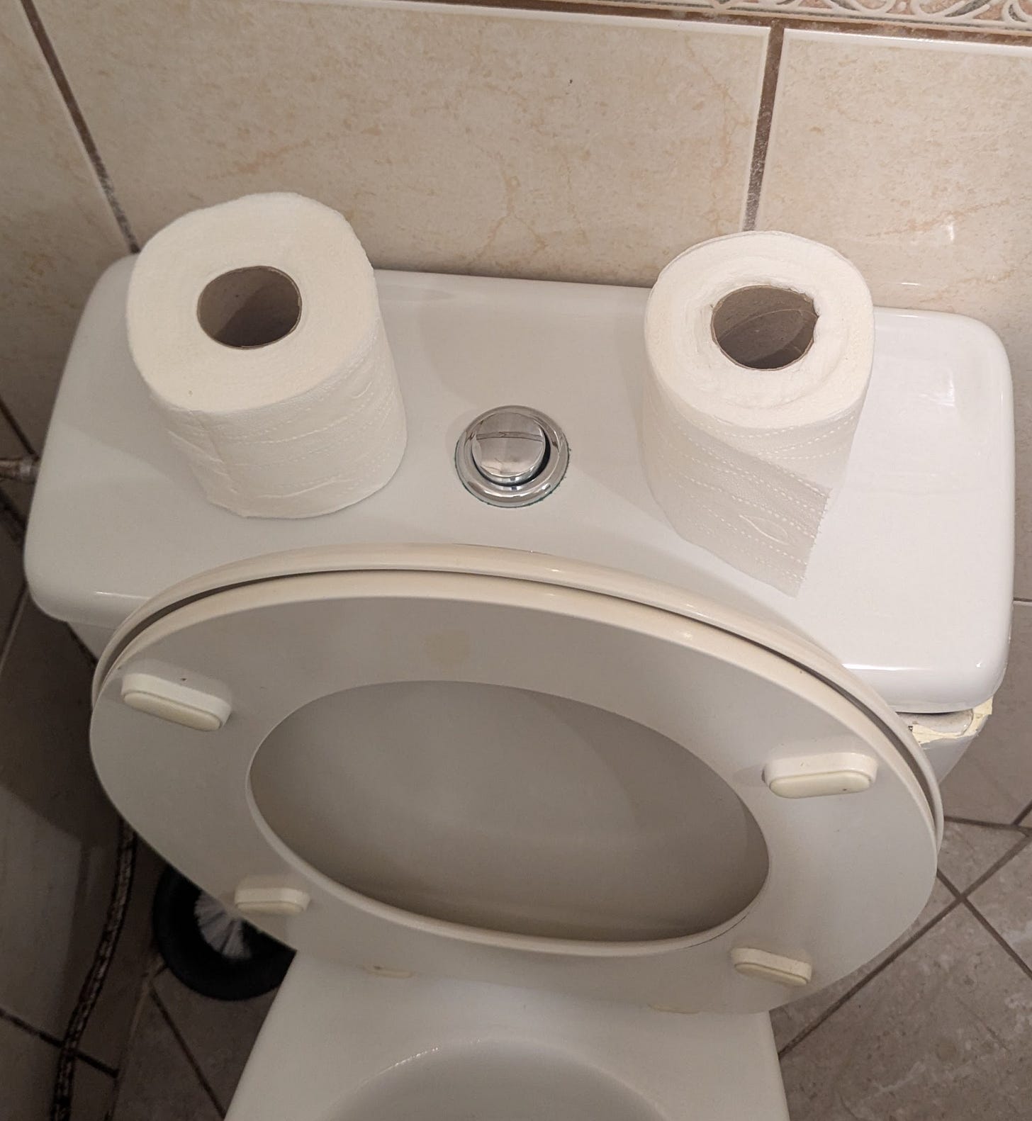 A happy smiling toilet.
