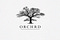 THE ORCHRD