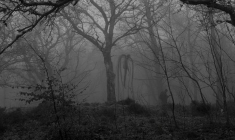 MEMES, Bonus: Slender Man | Endless Thread