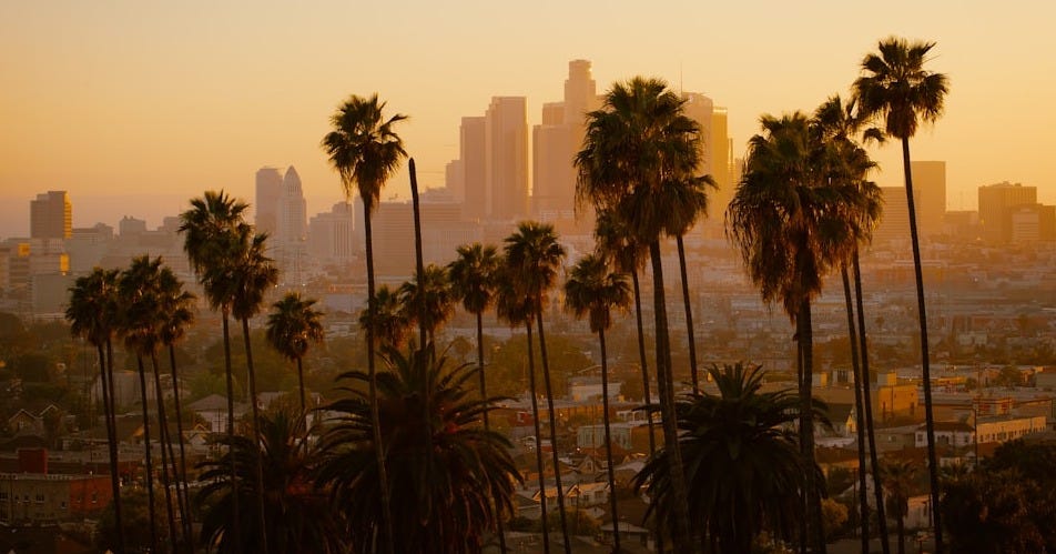 green palm tree and city view