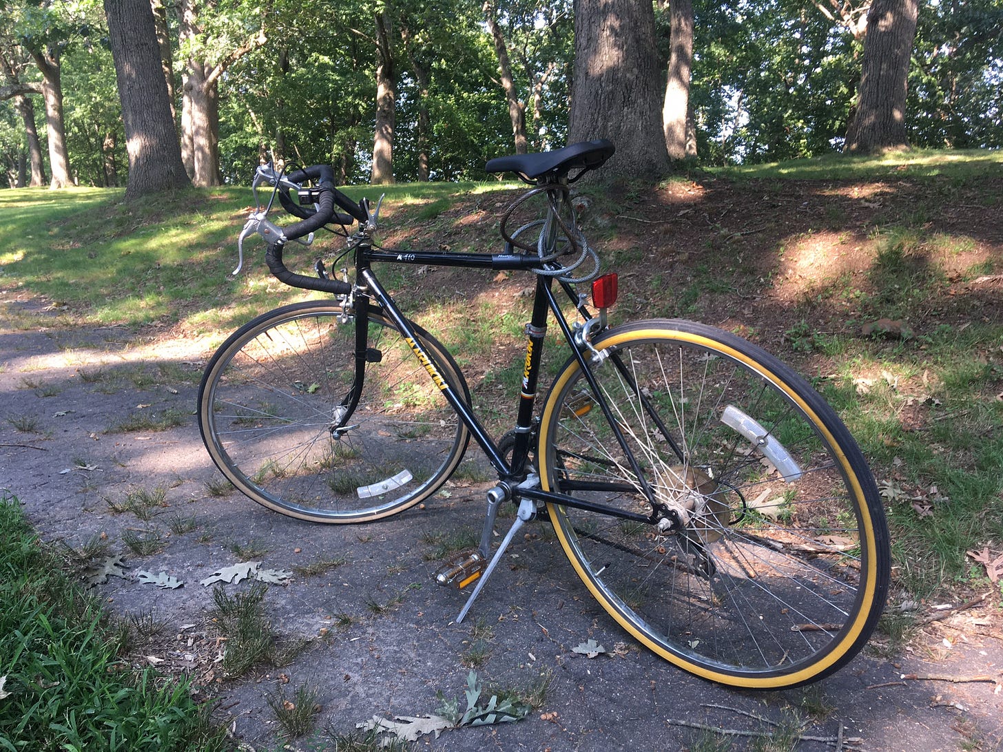 My bike parked on the sidewalk next to a park
