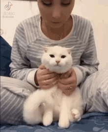 a woman is holding a white cat on a bed . a woman is holding a white cat on a bed .