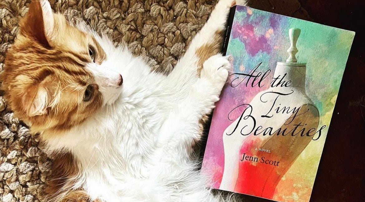 Radical Acceptance, Fire, and Cats