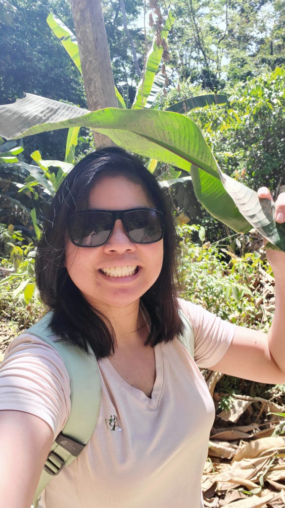 A Filipina using a banana leaf as an umbrella in Costa Rica A Filipina using a banana leaf as an umbrella in Costa Rica