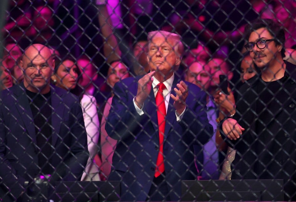 Donald Trump and Dana White at a UFC fight.
