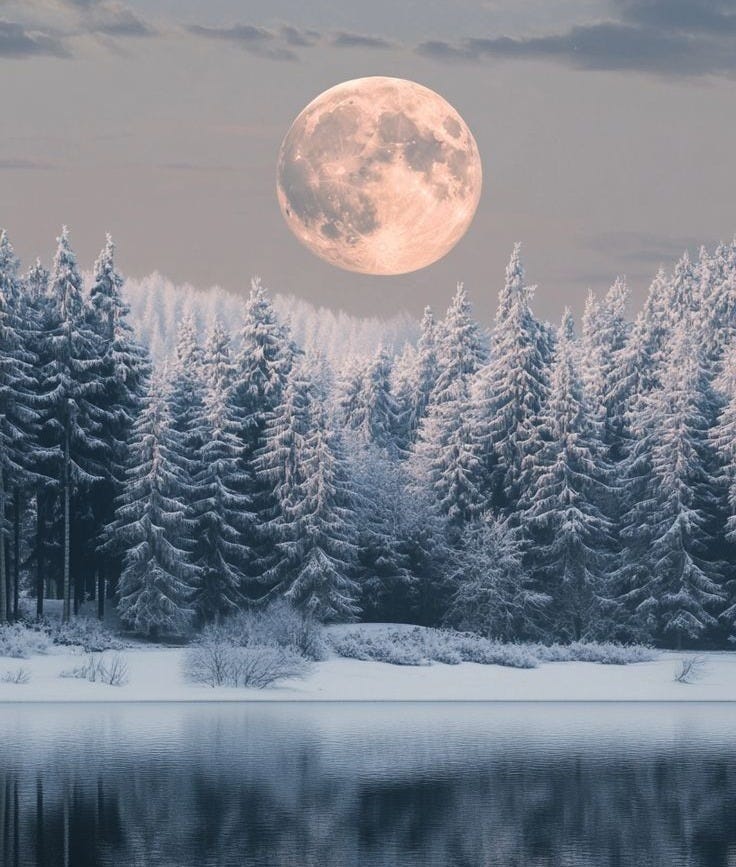 This may contain: a full moon is seen over a lake with trees in the foreground and snow on the ground