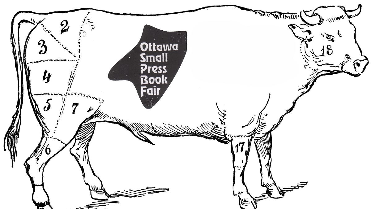 this weekend: the ottawa small press book fair,