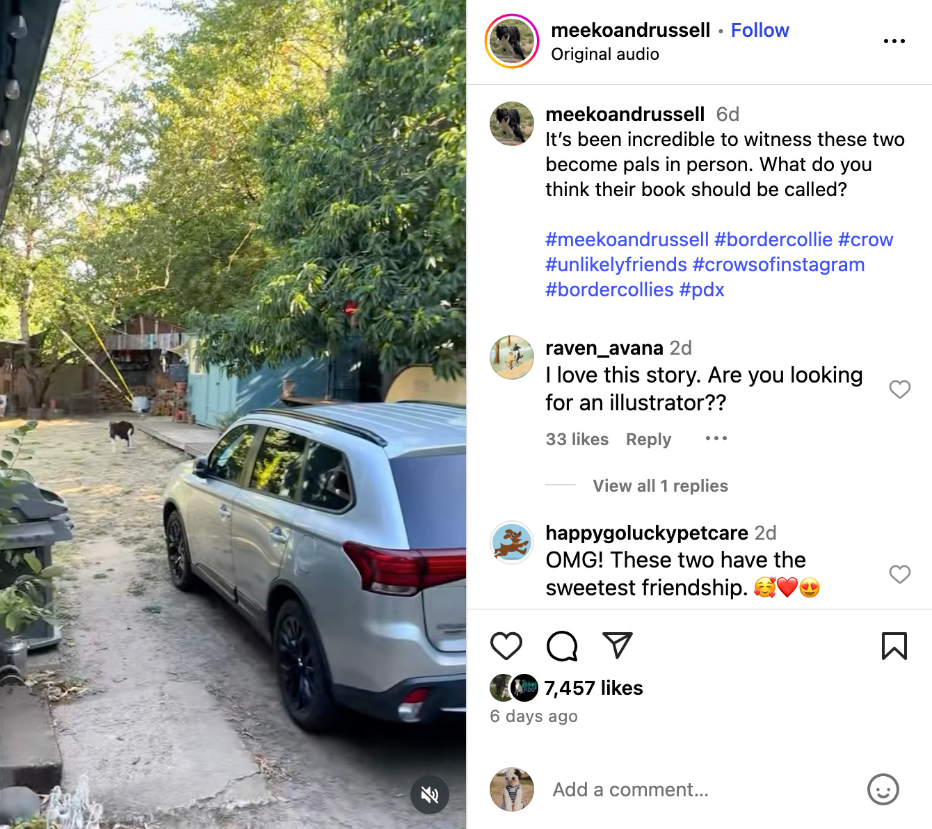 Meeko and Russel running on the back patio in the screenshot of their viral IG post