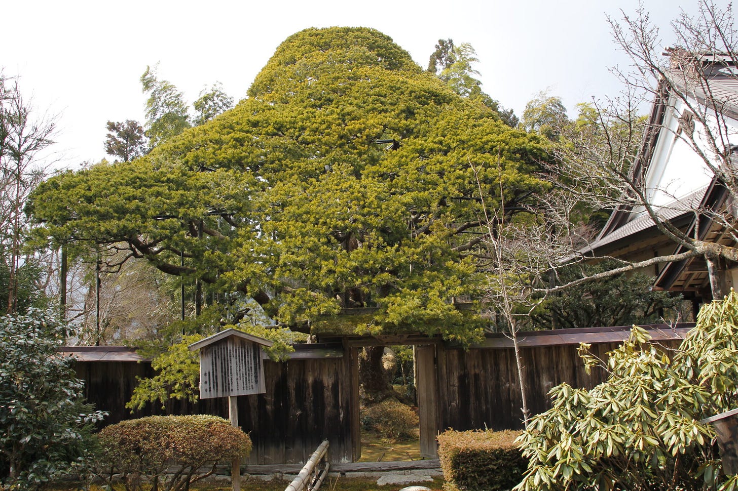 Sanzen-in Tempel, Ōhara, Kyōto, Japan Sanzen-in Tempel, Ōhara, Kyōto, Japan