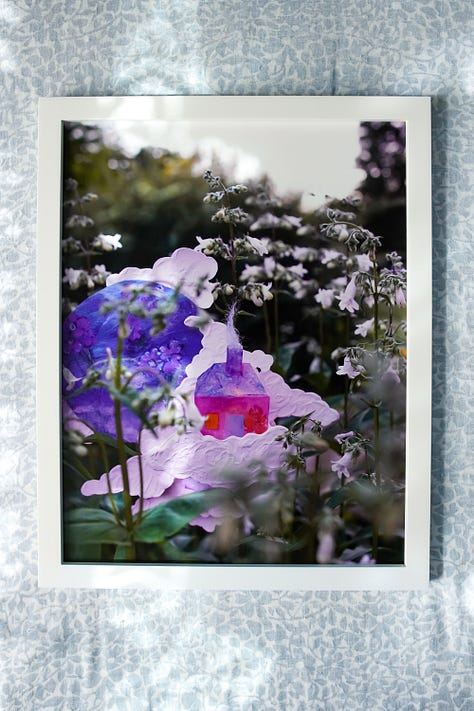 a variety of framed prints taken in the garden
