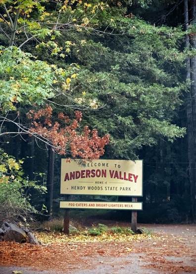 A sign in the woods

AI-generated content may be incorrect.