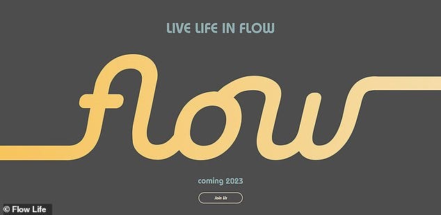 WeWork founder Adam Neumann drums up major interest in mystery real estate  venture Flow | Daily Mail Online