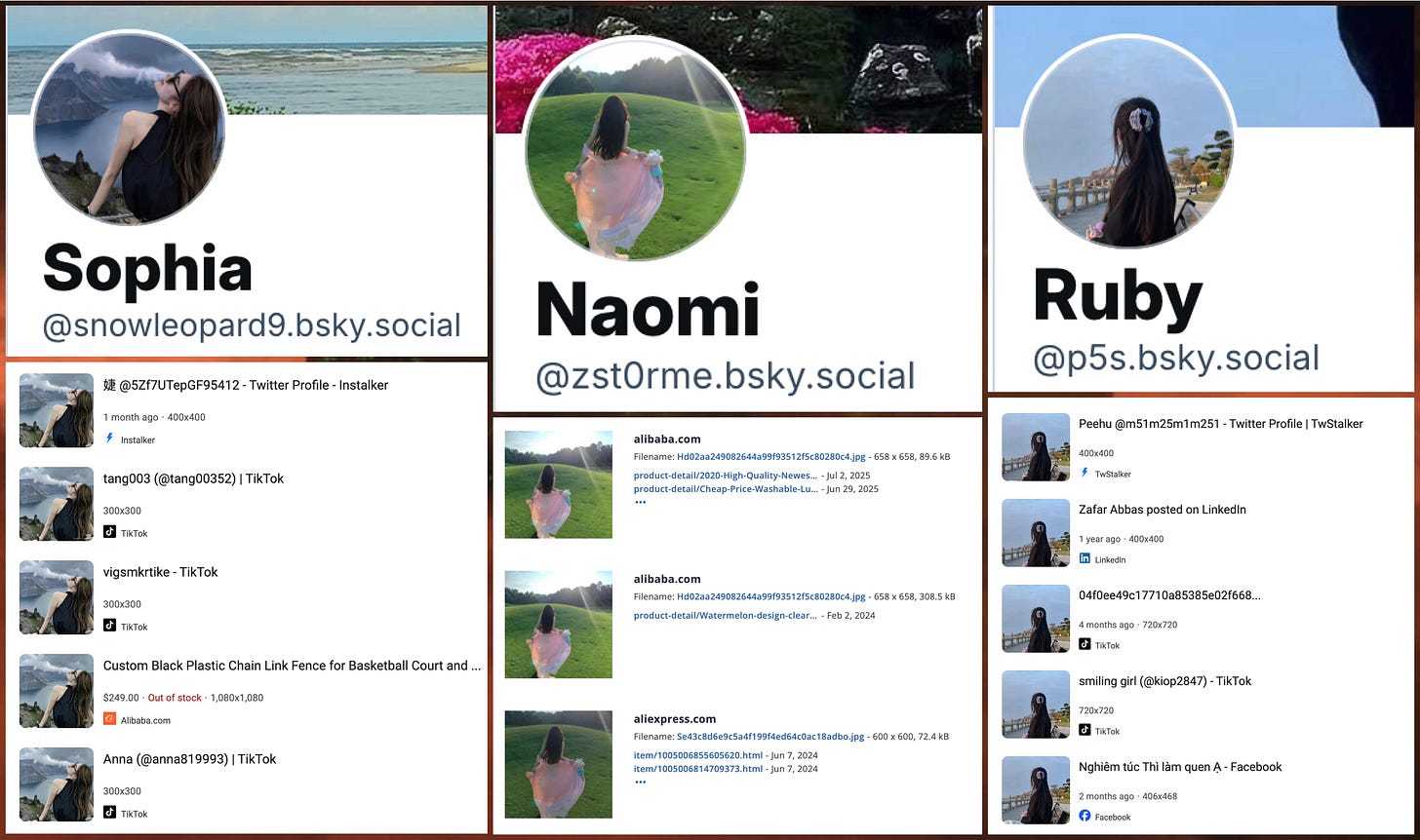 three profile photos used by the spam accounts, and reverse image searches showing that the photos are plagiarized