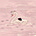 آية's avatar