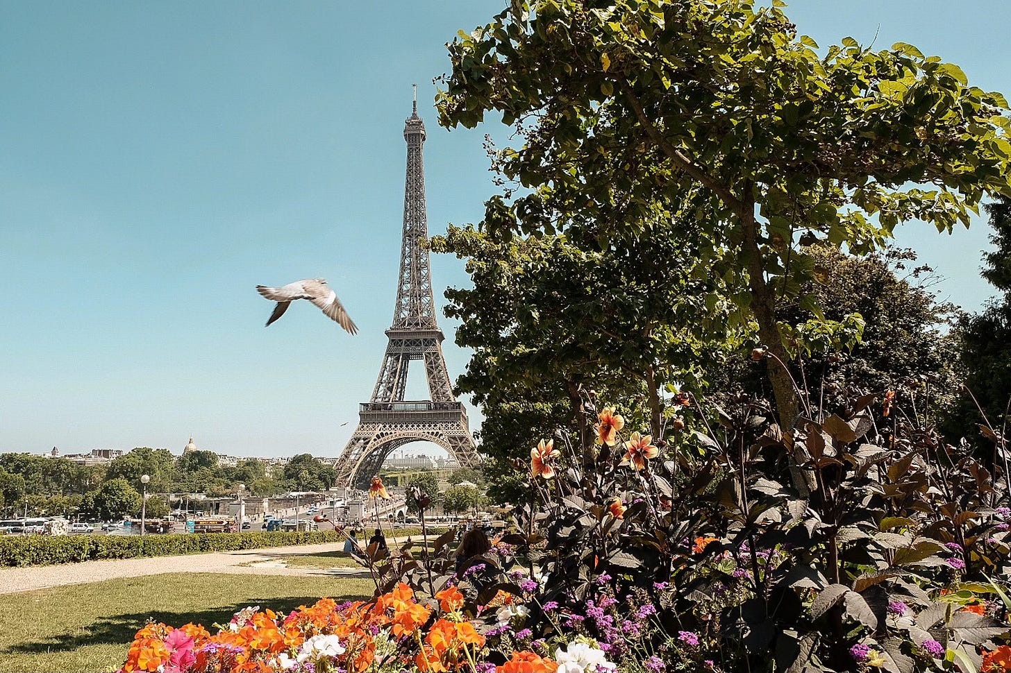 Eiffel Tower framed by summer flowers and leafy trees with a bird in mid-flight against a clear blue Paris sky