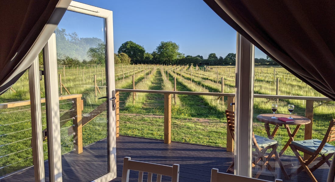 A room with an open door looking onto a patio and vineyard