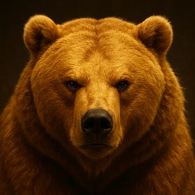 About Last Night's Bear-Attack 