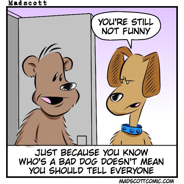 A Madscott comic shows a bear and a dog standing next to each other. The dog, wearing a blue collar, says, “You’re still not funny.” Below them, the caption reads: “Just because you know who’s a bad dog doesn’t mean you should tell everyone.” The website madscottcomic.com is written at the bottom.