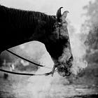 Perhaps instead of taking a break or hiding out, we can recommit. 