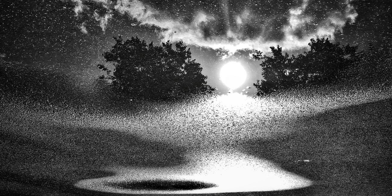 Foto Friday 17 – Reflections II