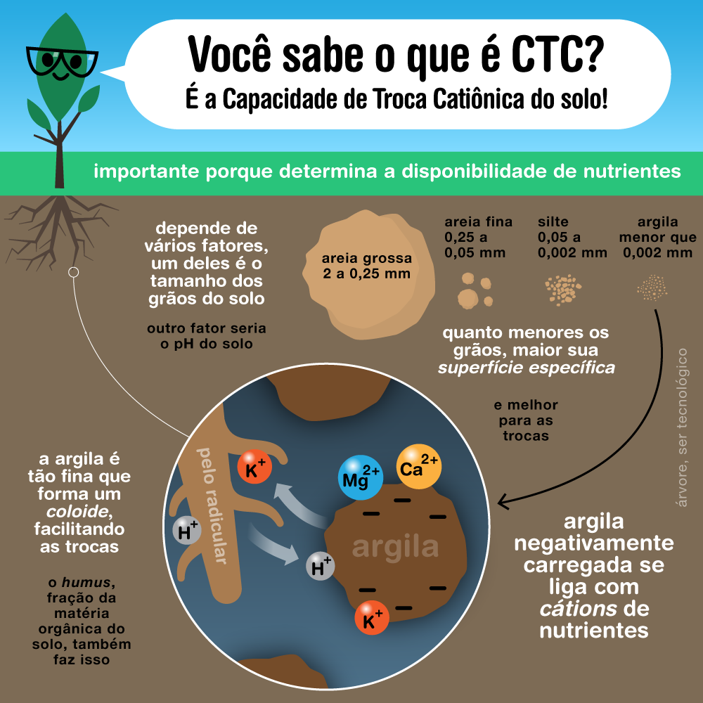 O Que Significa Ctc