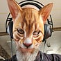 Facet's avatar