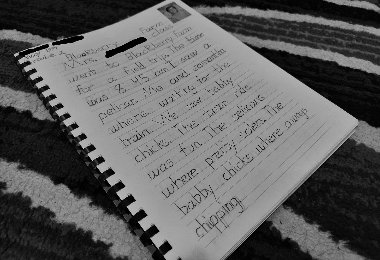 Image of 9 year old Lily's original writing on her trip to a farm. 