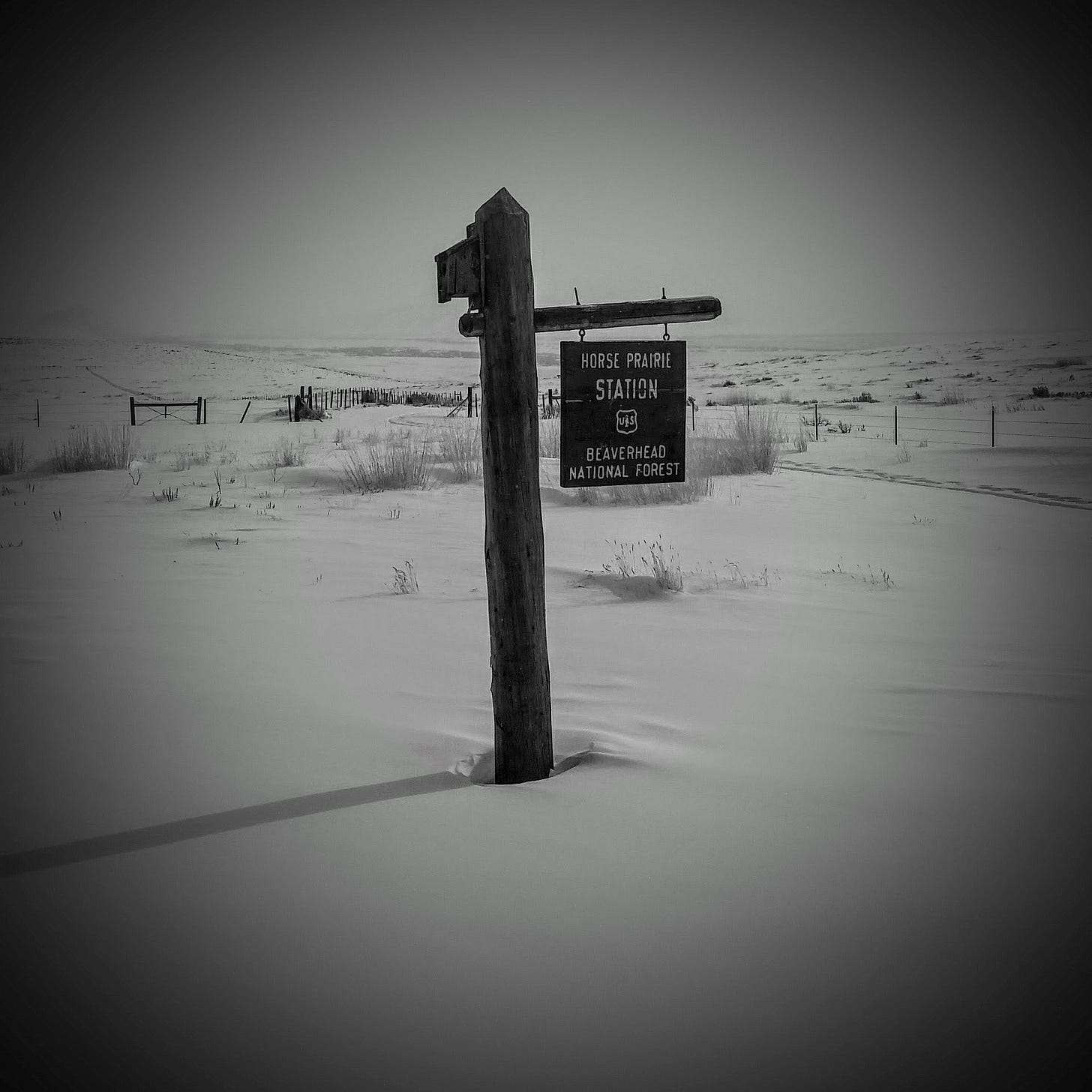 2017 @ Horse Prairie Station