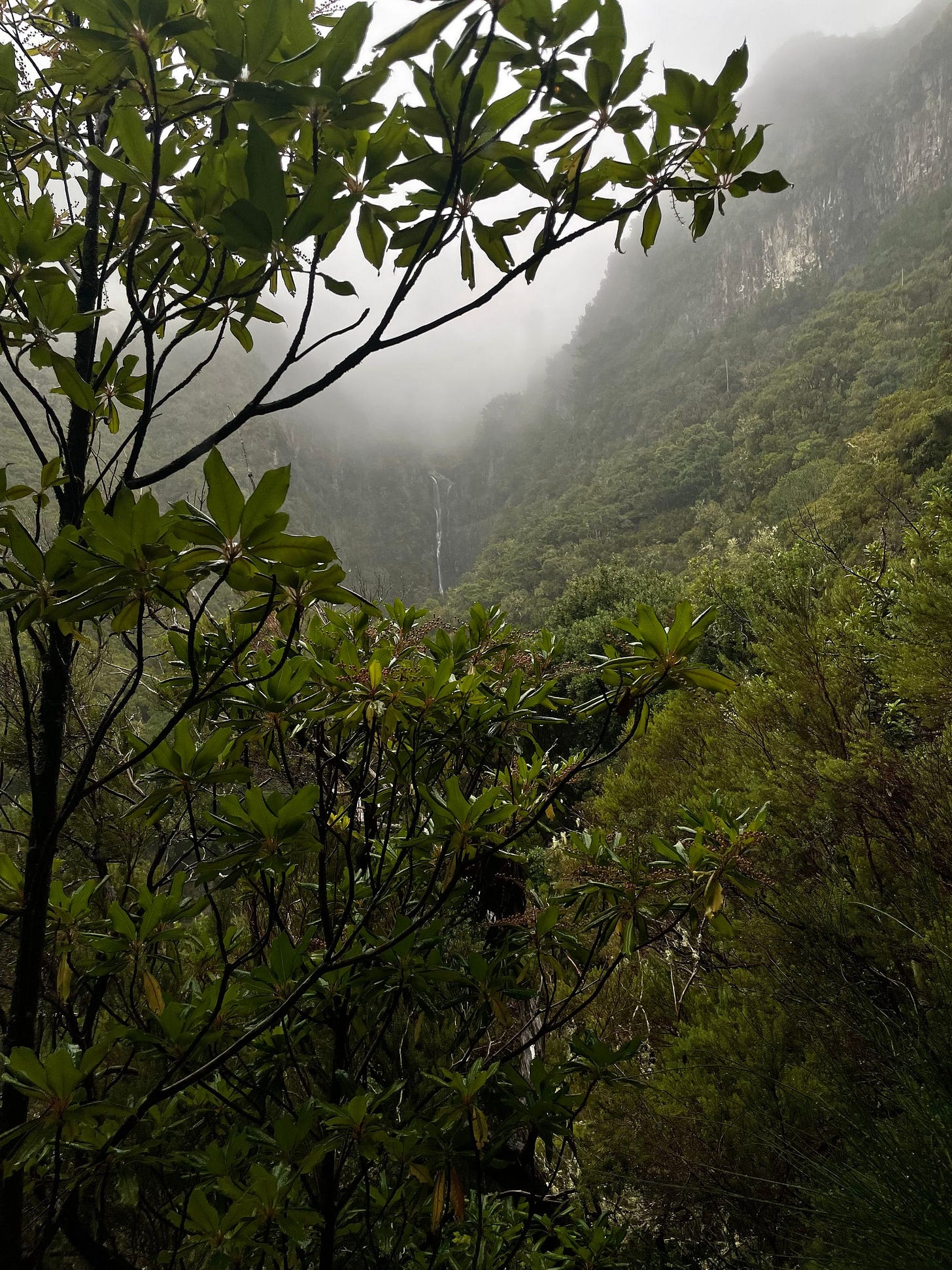 Madeira 2022: Walks & Hikes
