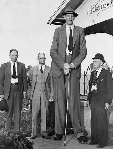 The Tallest People in The World. Many tall people lived in the world… | by  Juwariah Subhani | Medium