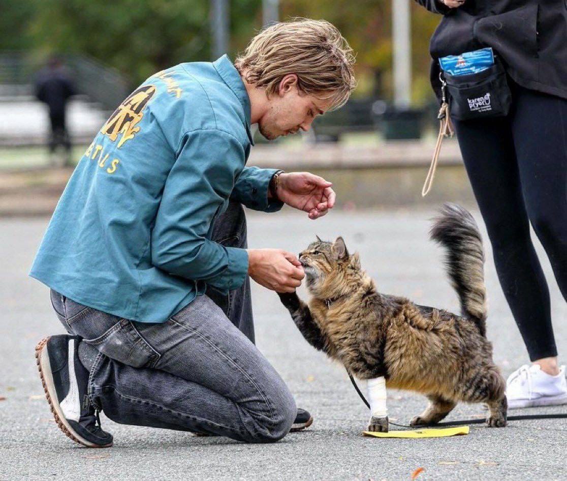 Austin Butler and the cat on the set of Darren Aronofsky's "Caught Stealing"  : r/oscarrace