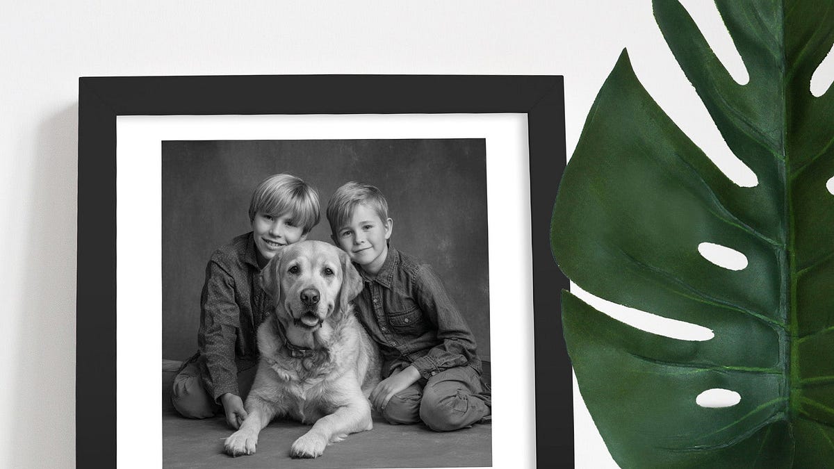 Where Can You Buy High-Quality Stationery Gifts Online in the UK?