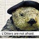 Auldtwa's Substack