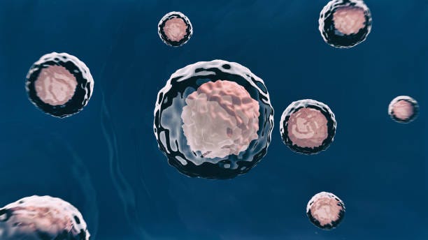 How Egg Freezing Can Extend Your Fertility