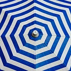 June Edit: Lots of Lobster, Good Reads, and Finally Some Movies