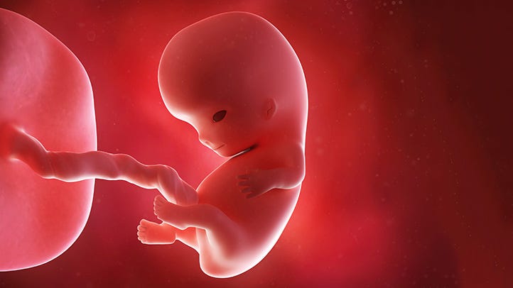 When a Baby's Gender Is Determined and How