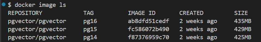 The docker image ls command has produced a list of pgvector images, The list of images contains the image, version, id, created_at field, and file_size. The docker image ls command has produced a list of pgvector images, The list of images contains the image, version, id, created_at field, and file_size.