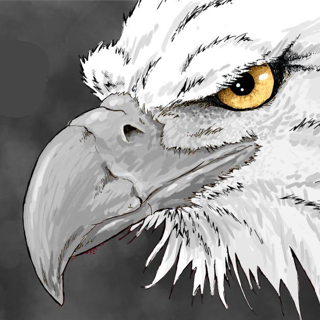 Political (a)Musings logo