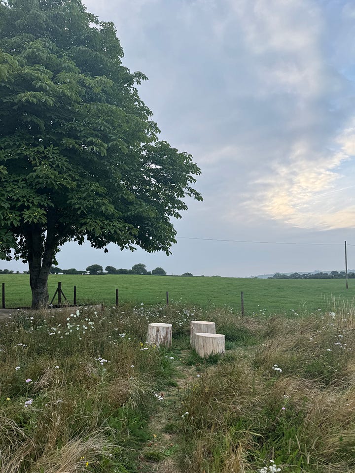 OSIP RESTAURANT SOMERSET