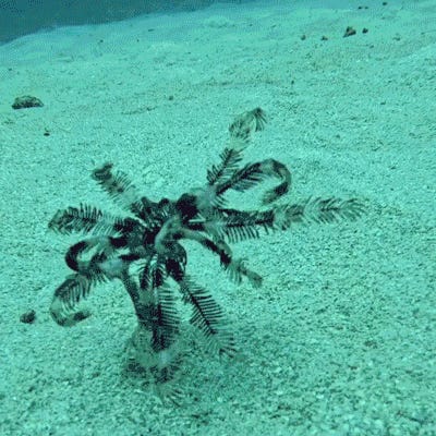 Goodbye, Greggers! Tabs, Tues., Jan. 27, 2026