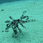 Goodbye, Greggers! Tabs, Tues., Jan. 27, 2026