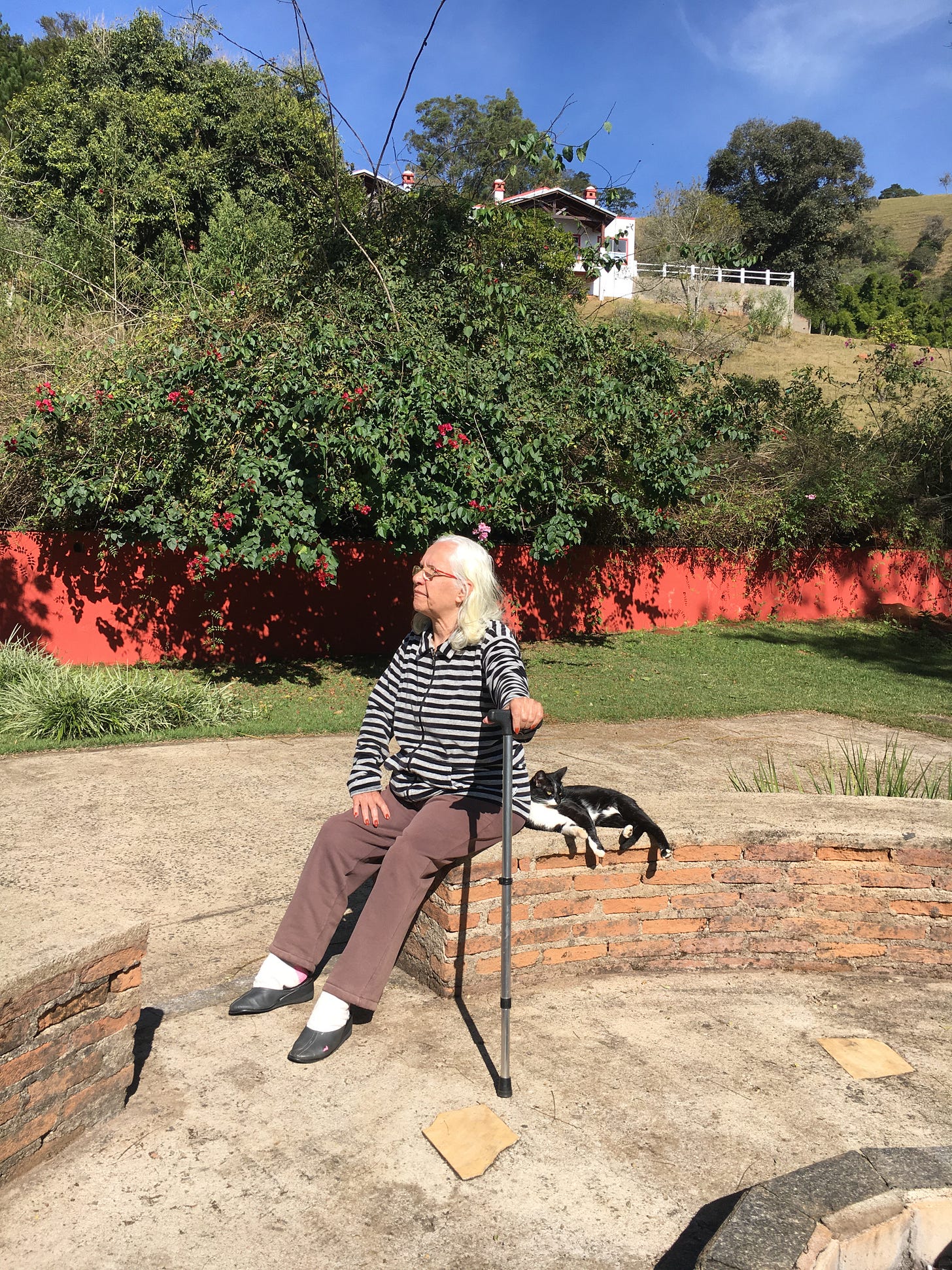 An elderly lady with a cane, sitting outdoors with a tuxedo cat lying next to her. They are surrounded by greenery and a mountain, with some white chalets up the hill.